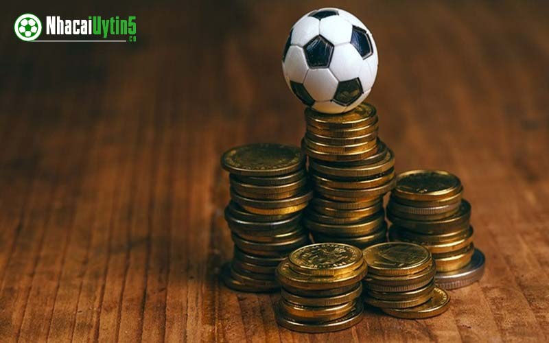 Trang cá cược bóng đá uy tín cần được đăng ký hoạt động hợp pháp